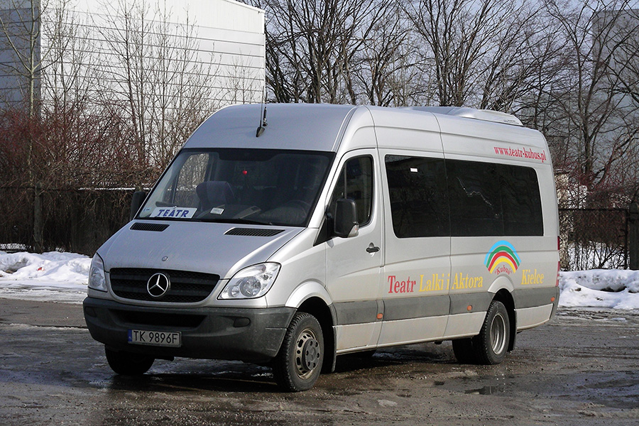 Mercedes-Benz 519 CDI #TK 9896F